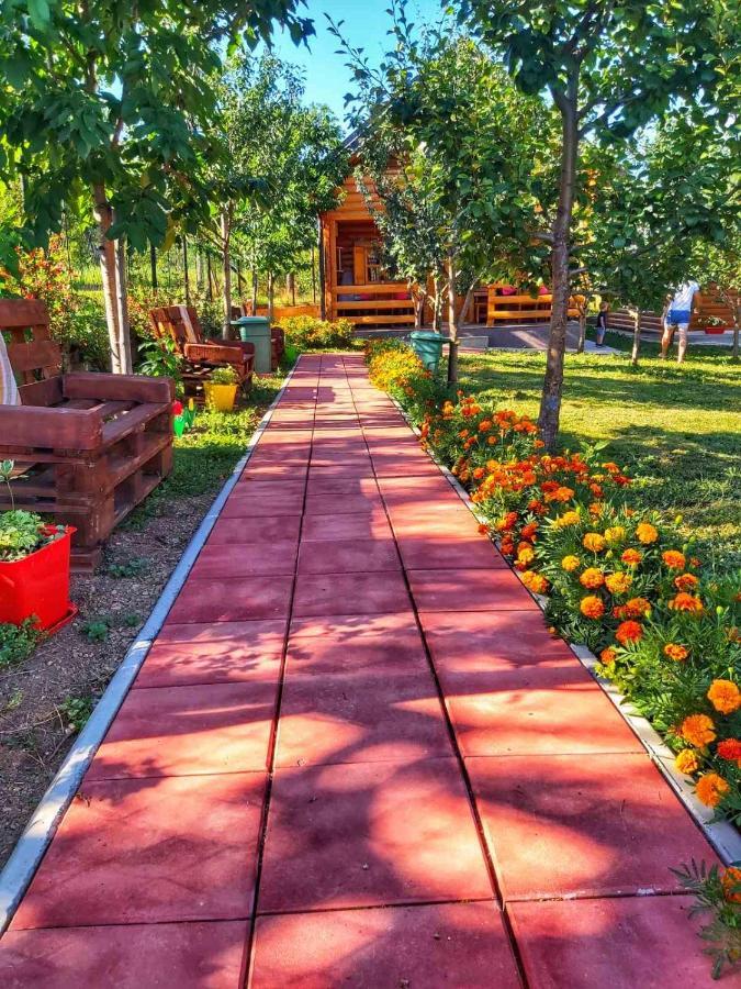 Holiday Bungalows With Pool 플라브 외부 사진