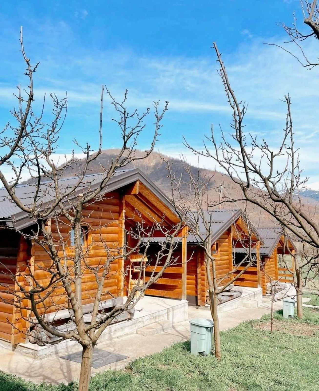 Holiday Bungalows With Pool 플라브 외부 사진